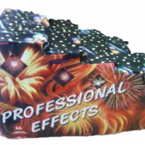 Professional 66 (сходи)